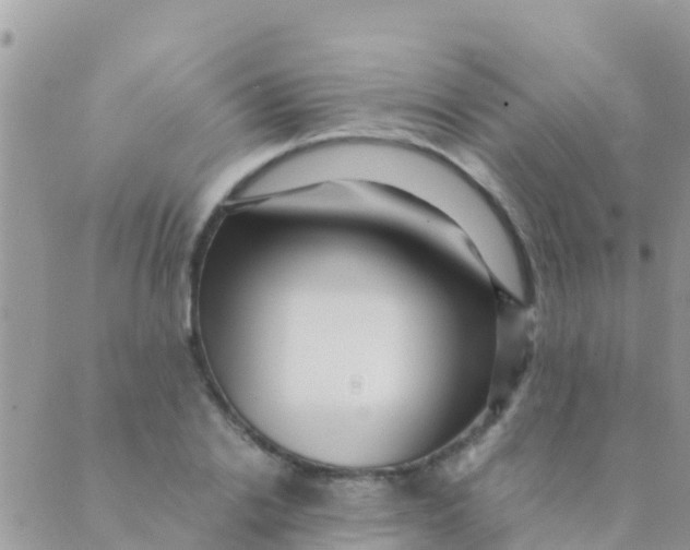 X0000089430838200707061341