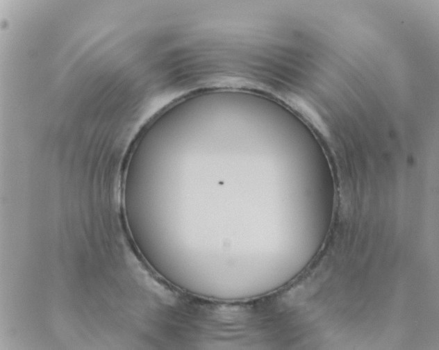 X0000089430839200707061341