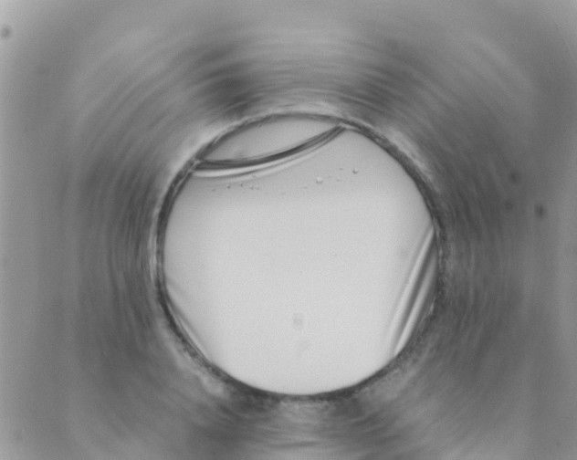 X0000089430840200707061341