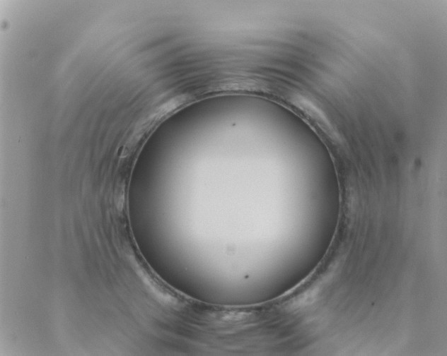 X0000089430841200707061341