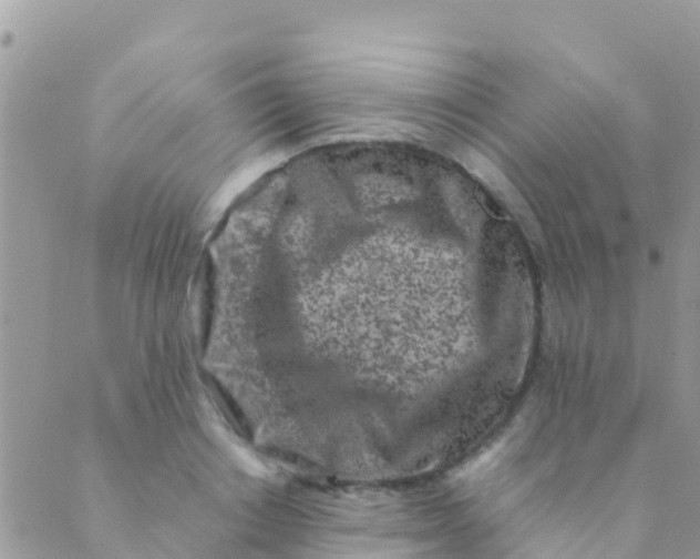 X0000089430842200707061341