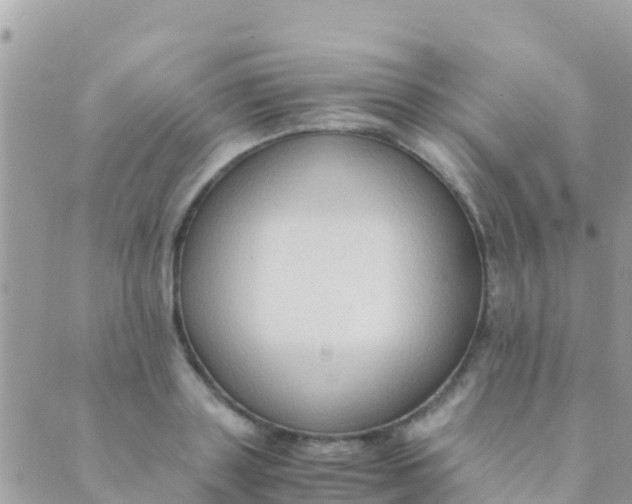 X0000089430843200707061341