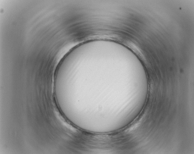 X0000089430844200707061342