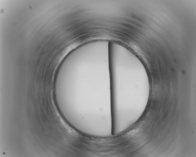 X0000089430845200707061342