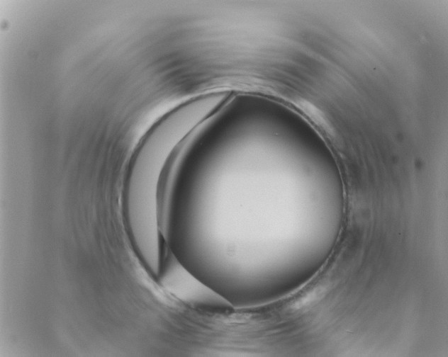 X0000089430846200707061342