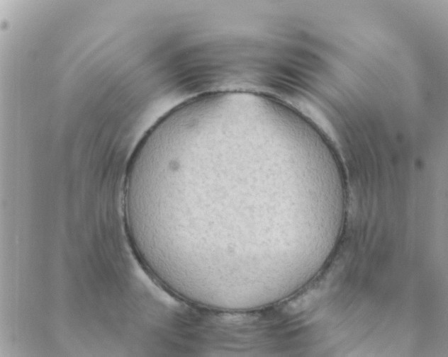 X0000089430847200707061342