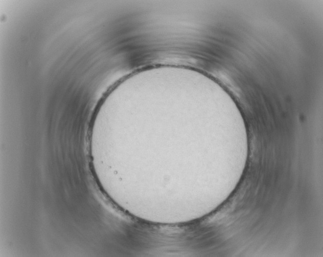 X0000089430848200707061342