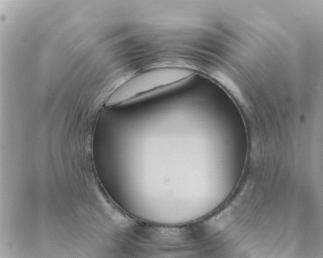 X0000089430849200707061342