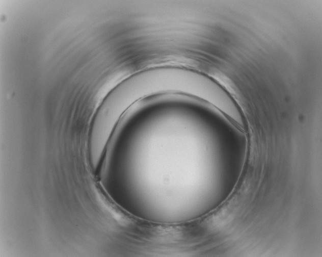 X0000089430850200707061342