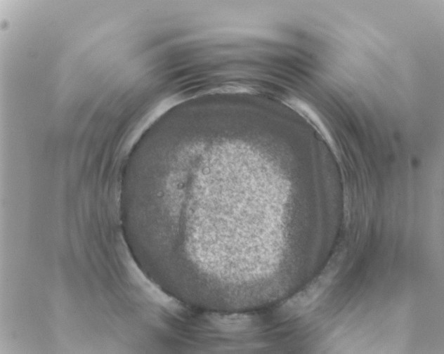 X0000089430851200707061342