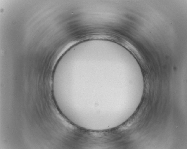 X0000089430852200707061342