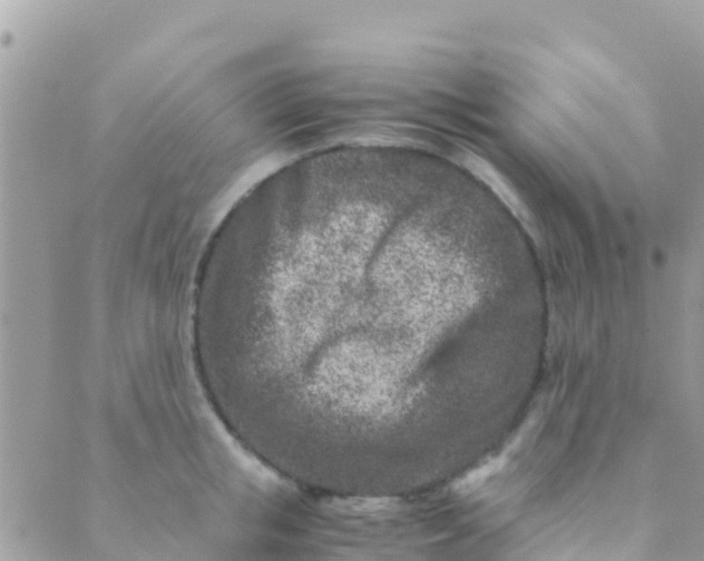 X0000089430853200707061342