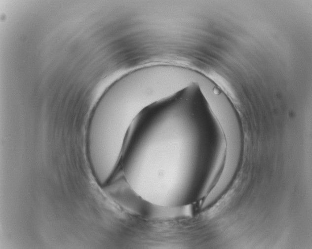 X0000089430854200707061342