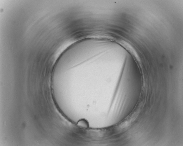 X0000089430855200707061342