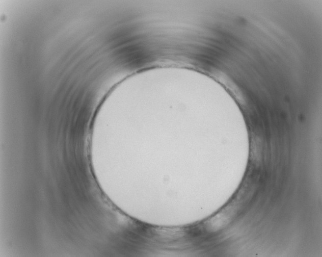 X0000089430856200707061342