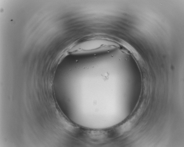 X0000089430857200707061342