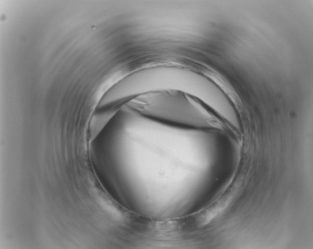 X0000089430858200707061342