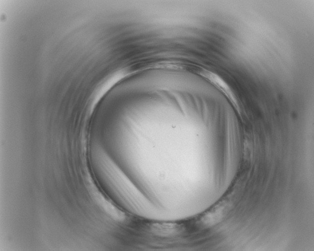 X0000089430859200707061342