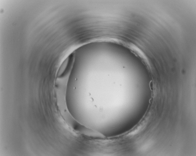 X0000089430860200707061342