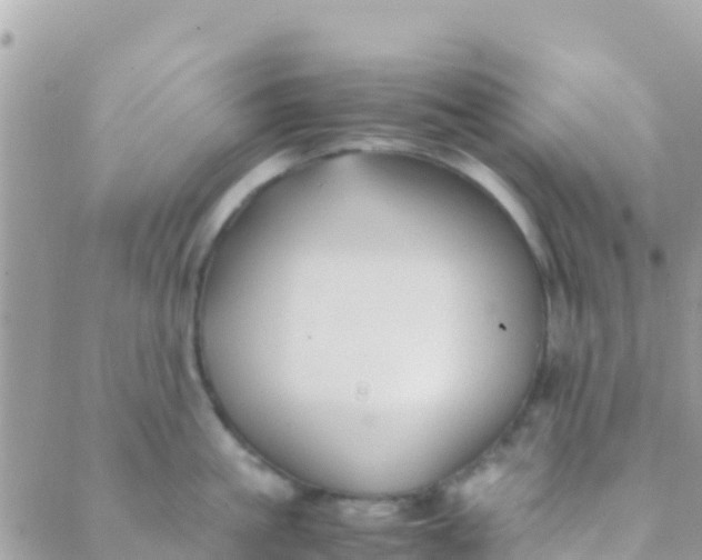 X0000089430861200707061342