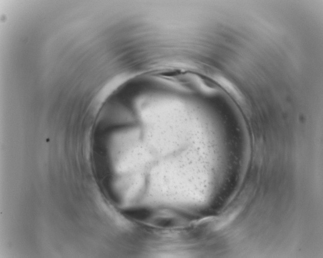 X0000089430862200707061342