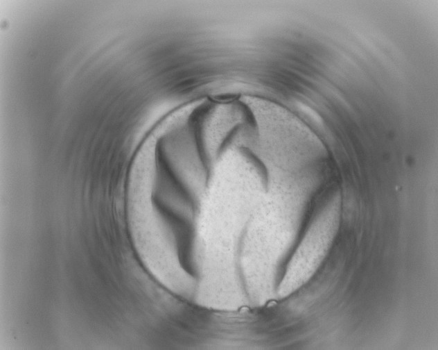 X0000089430863200707061342