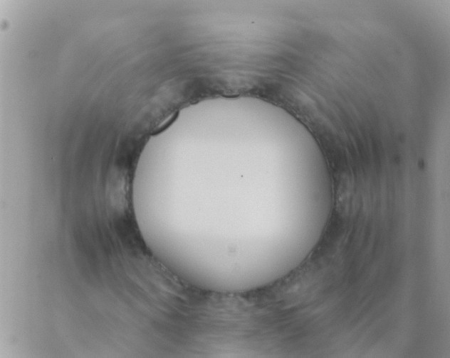 X0000089430866200707061341