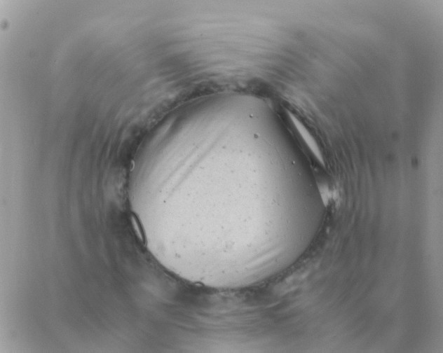 X0000089430867200707061341