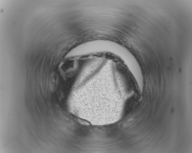 X0000089430868200707061341