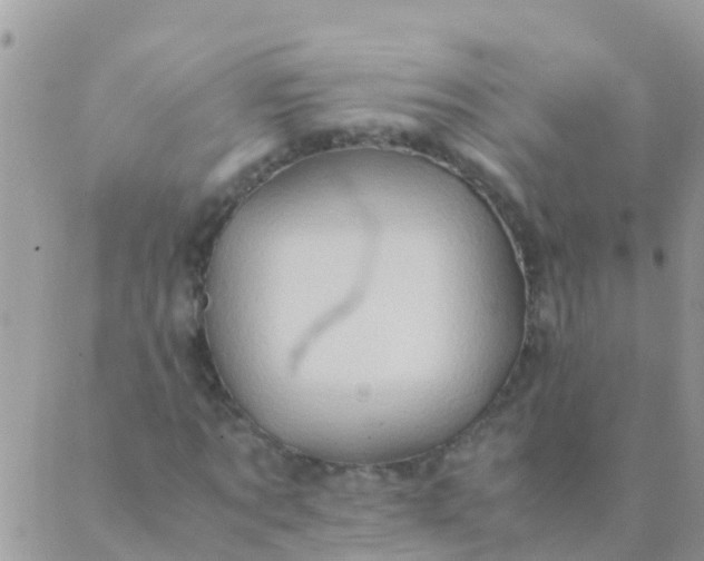 X0000089430869200707061341