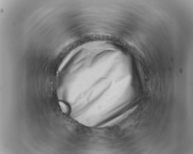 X0000089430870200707061341