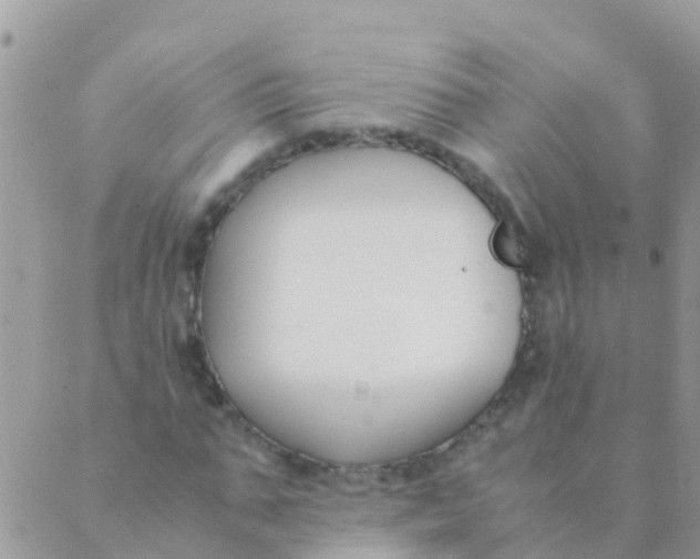 X0000089430871200707061341