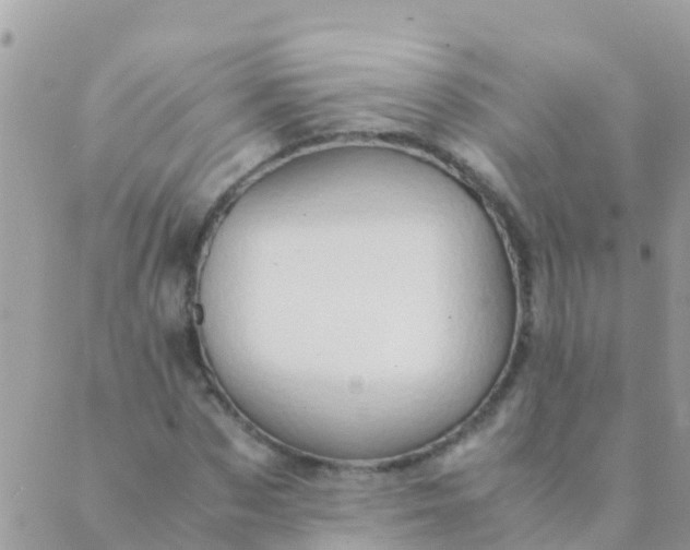 X0000089430873200707061341