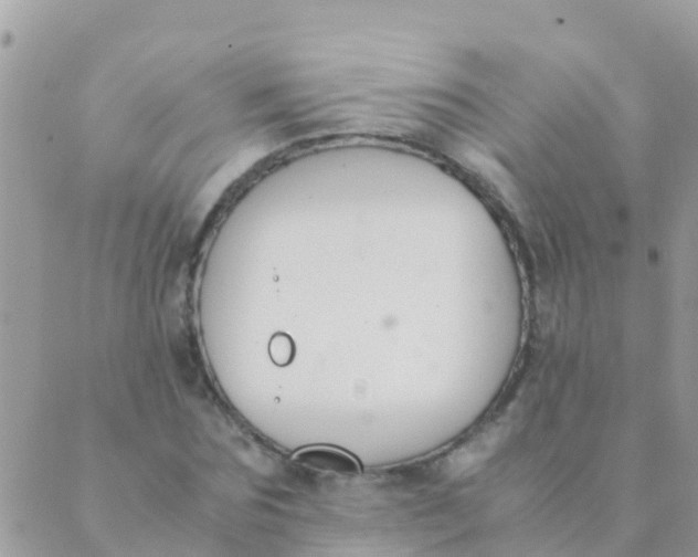 X0000089430875200707061341