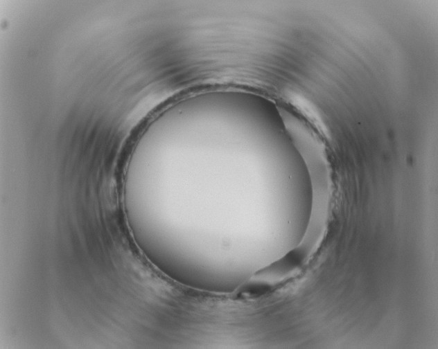 X0000089430876200707061341