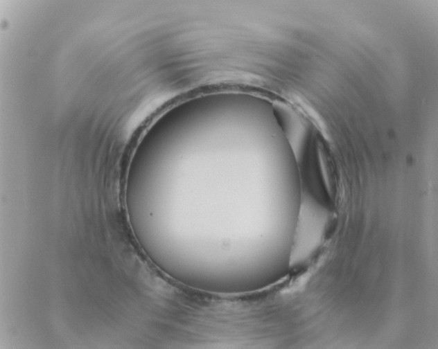 X0000089430877200707061341