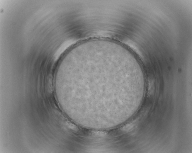 X0000089430878200707061341