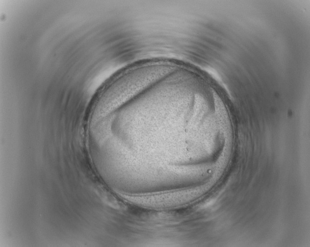 X0000089430879200707061341