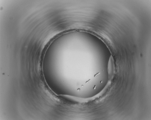 X0000089430880200707061341