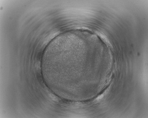 X0000089430881200707061341