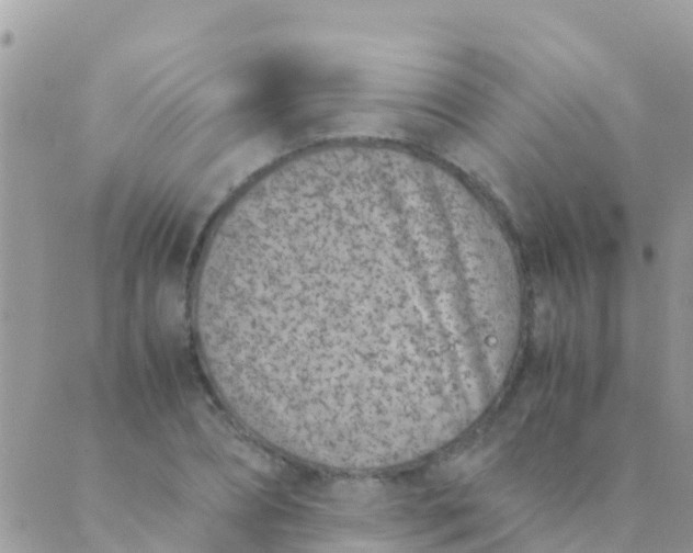 X0000089430882200707061341