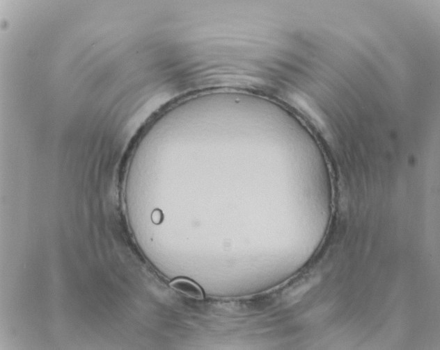 X0000089430883200707061341