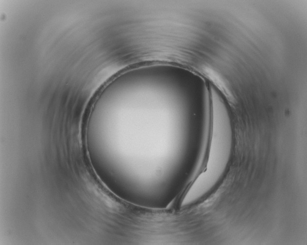 X0000089430884200707061341