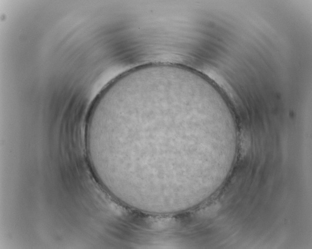 X0000089430886200707061341