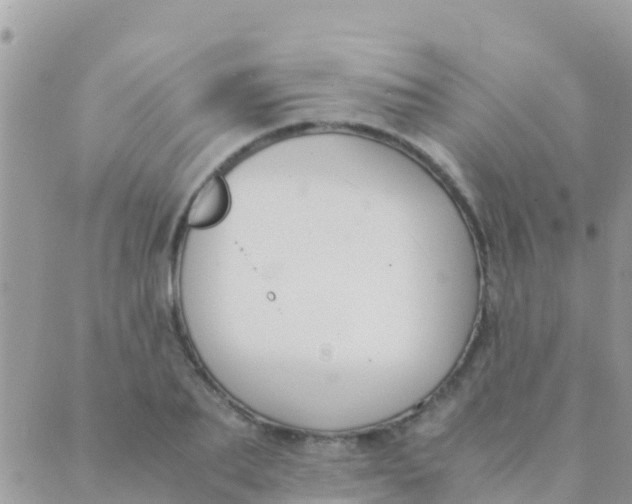 X0000089430887200707061341