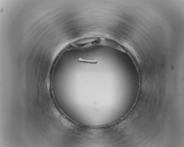 X0000089430888200707061341