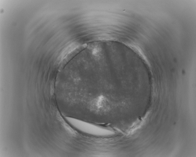 X0000089430889200707061341