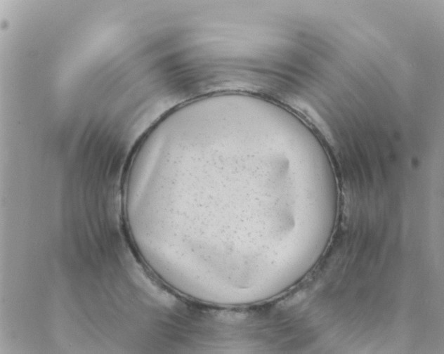 X0000089430890200707061341