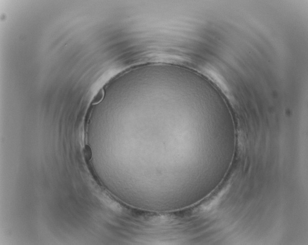 X0000089430891200707061341