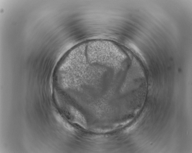 X0000089430892200707061341